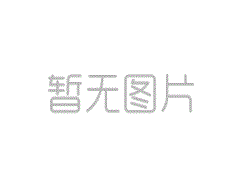 高效節(jié)能的專業(yè)有機(jī)肥造粒機(jī)